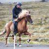 Heystkappríðing í Vágum 2026 Heystkappríðing í Vágum 2026
