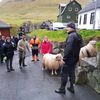 Við Tórði í Tindhólmi Við Tórði í Tindhólmi