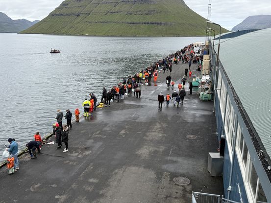 Fisakikapping Klax