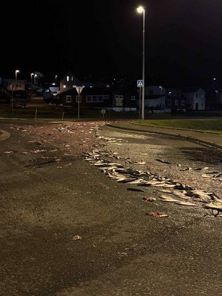 B3b53e7c 0bfd 467a 9a9e 460fd1854429