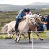 Heystkappríðing í Vágum 2026 Heystkappríðing í Vágum 2026