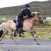 Heystkappríðing í Vágum 2026 Heystkappríðing í Vágum 2026