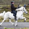 Heystkappríðing í Vágum 2026