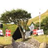 Krúnprinsaparið í Bø Krúnprinsaparið í Bø