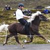 Heystkappríðing í Vágum 2026 Heystkappríðing í Vágum 2026