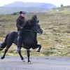 Heystkappríðing í Vágum 2026 Heystkappríðing í Vágum 2026
