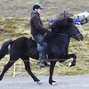 Heystkappríðing í Vágum 2026 Heystkappríðing í Vágum 2026